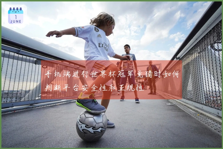 手机端进行世界杯冠军竞猜时如何判断平台安全性和正规性