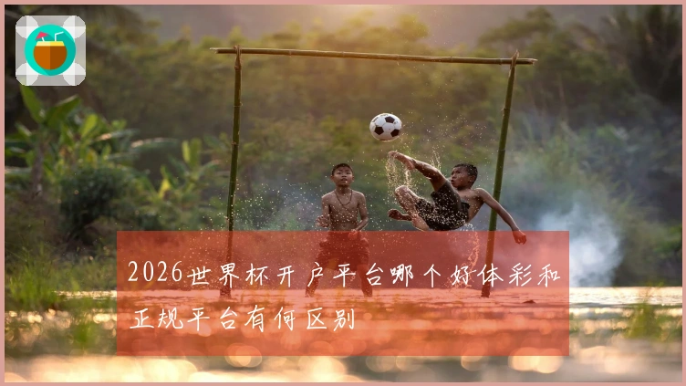2026世界杯开户平台哪个好体彩和正规平台有何区别