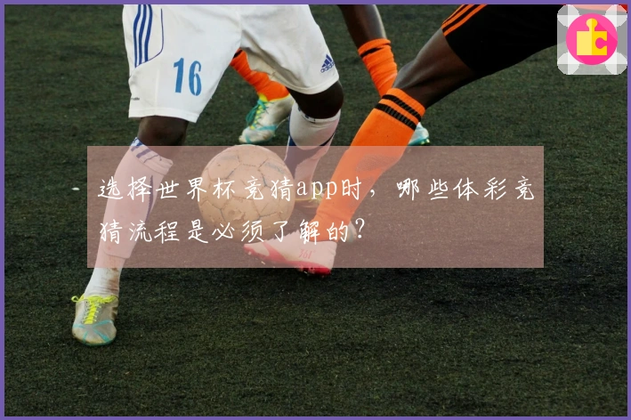 选择世界杯竞猜app时,哪些体彩竞猜流程是必须了解的?