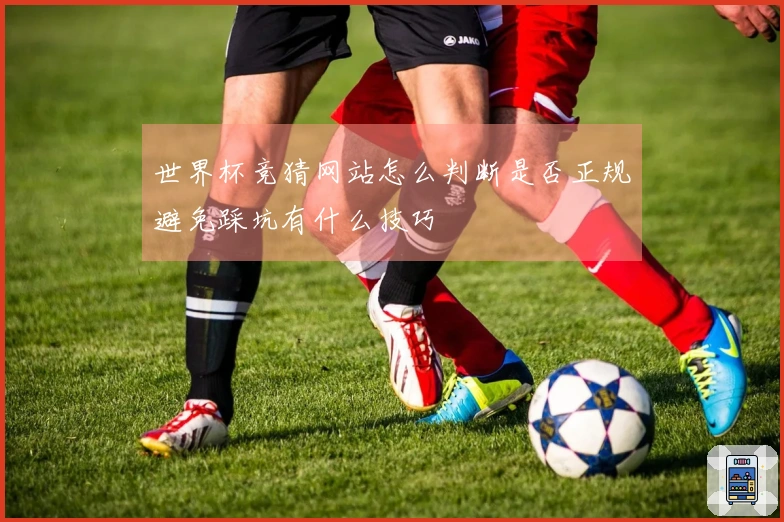世界杯竞猜网站怎么判断是否正规避免踩坑有什么技巧