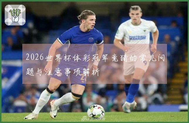 2026世界杯体彩冠军竞猜的常见问题与注意事项解析