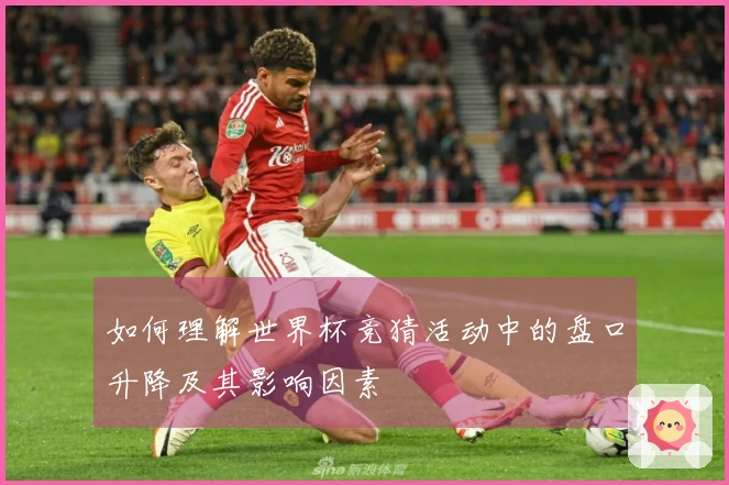 如何理解世界杯竞猜活动中的盘口升降及其影响因素