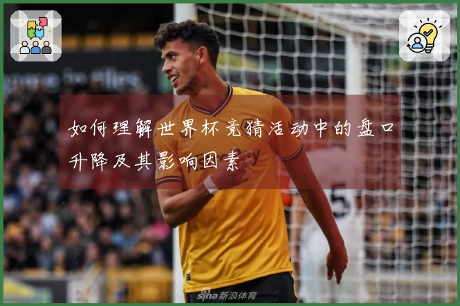 如何理解世界杯竞猜活动中的盘口升降及其影响因素