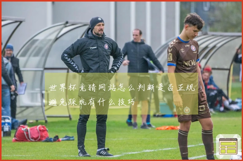 世界杯竞猜网站怎么判断是否正规避免踩坑有什么技巧