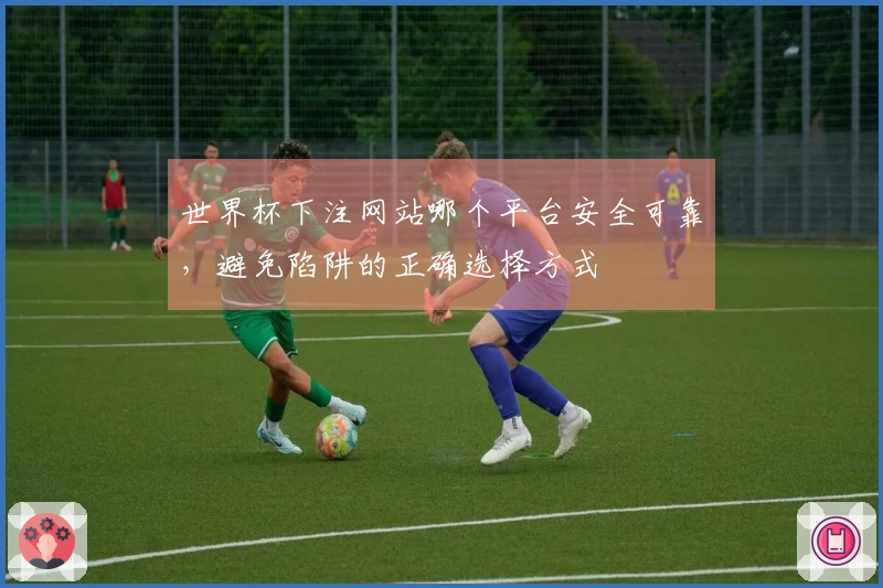 世界杯下注网站哪个平台安全可靠，避免陷阱的正确选择方式