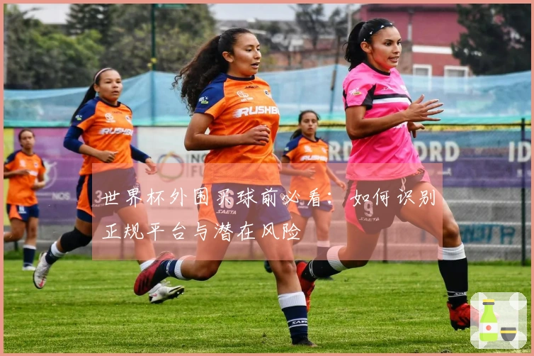 世界杯外围买球前必看：如何识别正规平台与潜在风险
