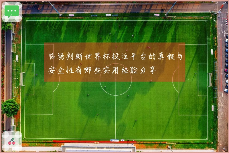 临场判断世界杯投注平台的真假与安全性有哪些实用经验分享