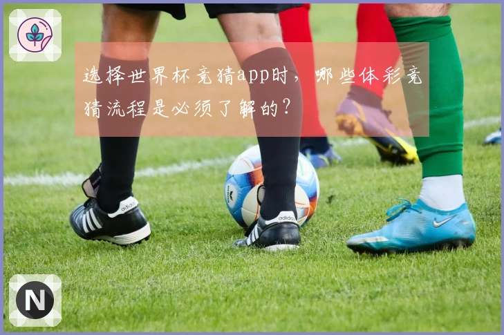 选择世界杯竞猜app时，哪些体彩竞猜流程是必须了解的？