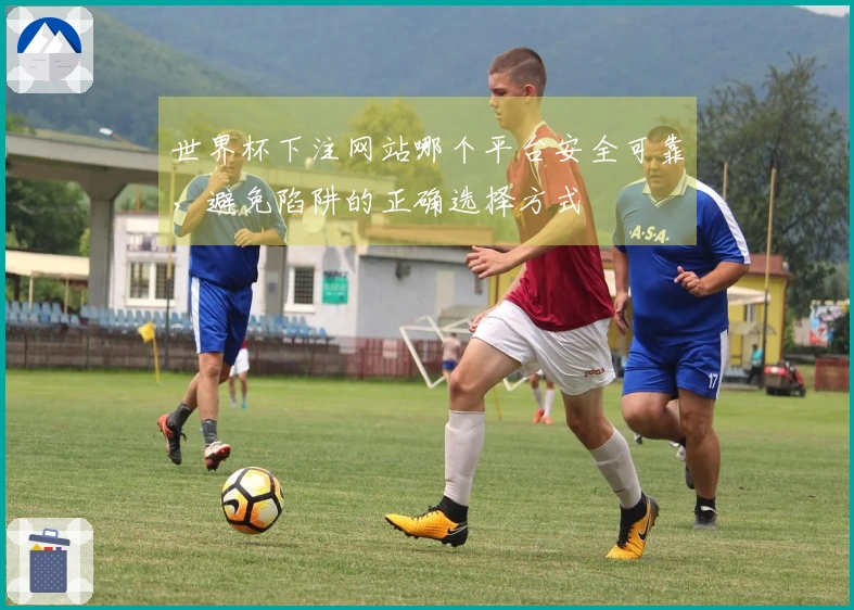 世界杯下注网站哪个平台安全可靠，避免陷阱的正确选择方式